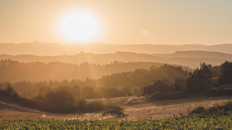 Sun over the hills around Newberg